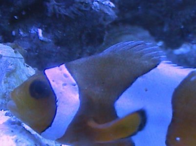 SD Pictures off of Video Camera 2009-2011 495.jpg