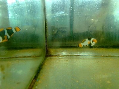 IMG_0166 (Small).jpg