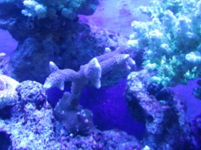 IMG_0433.jpg