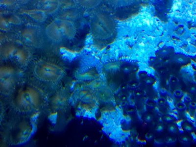 IMG_20110213_214004.jpg