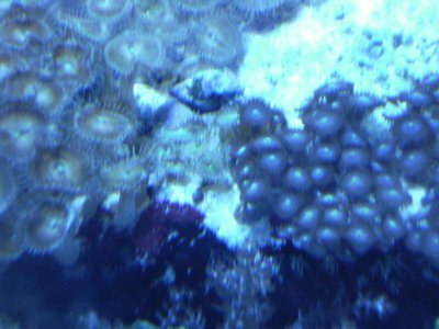 DSCF0514.jpg