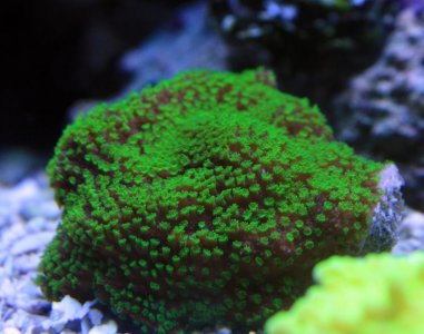 IMG_6728.jpg