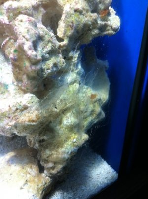 IMG_0285 2.JPG