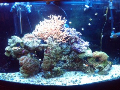 2011-02-14 19.31.48.jpg