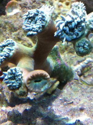 IMG_0283.jpg