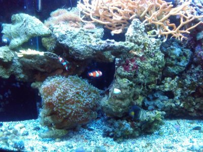 2011-02-14 19.32.07.jpg