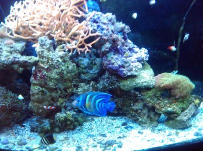 2011-02-14 19.32.43.jpg