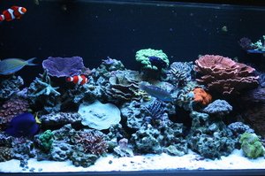 fts.jpg