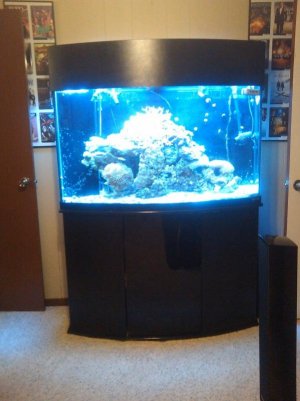 2011-02-14 19.33.04.jpg