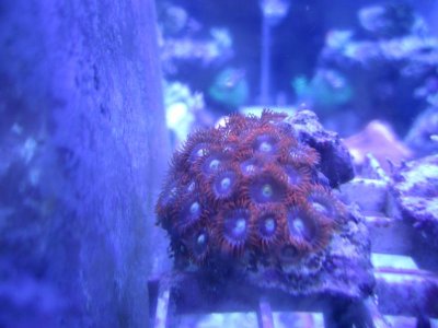 IMG_0150.jpg