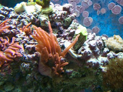 100_8085.jpg