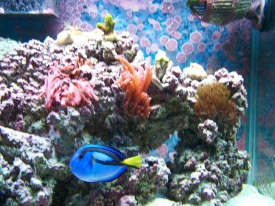 100_8086.jpg