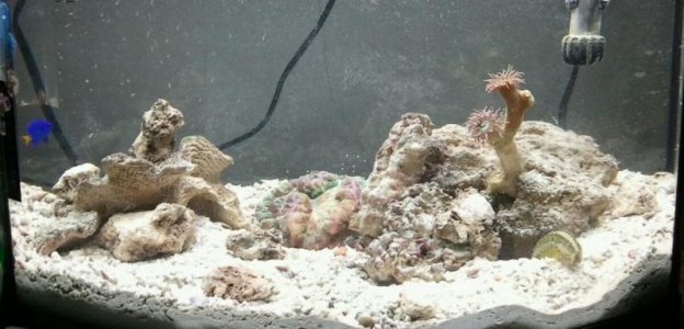 2011-01-29_23.50.23.jpg