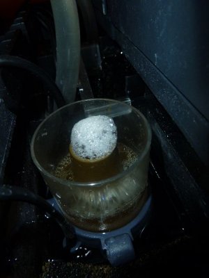 k-P1010169.JPG