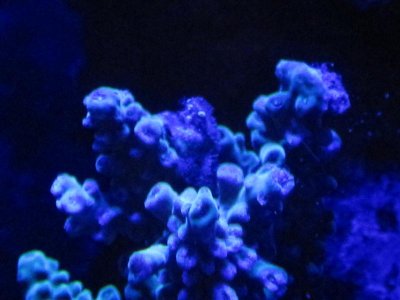 IMG_1735.jpg