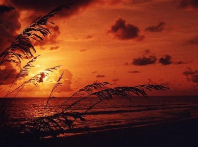 Summer Sunset on Honeymoon Island .jpg