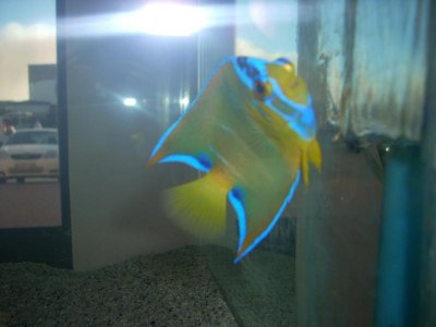DSCN2117.jpg
