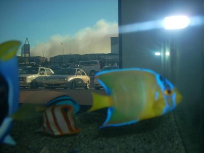DSCN2119.jpg