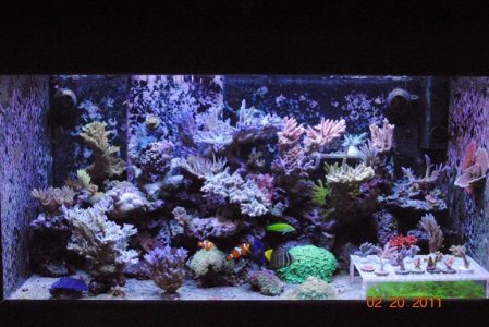 Feburary 2011-1.jpg