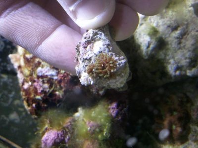 2011-02-17 22.14.12.jpg