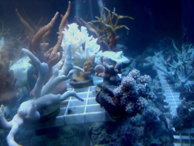 20110221071241.jpg