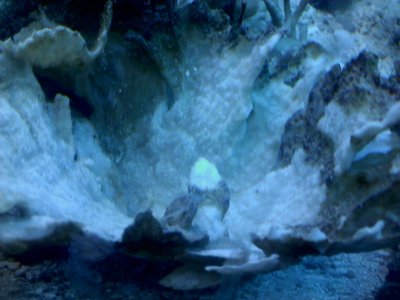 20110221071227.jpg