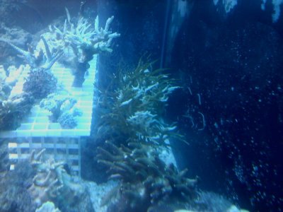20110221071212.jpg