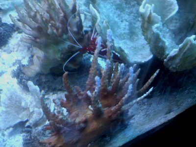20110221071149.jpg