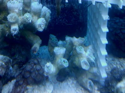 20110221071116.jpg