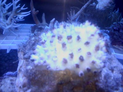 20110221070940.jpg