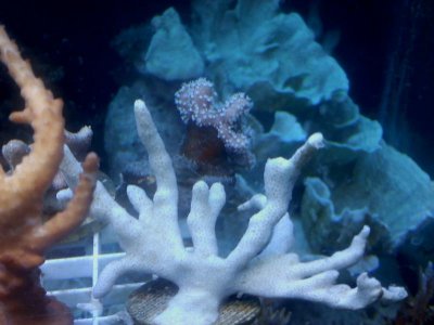 20110221071036.jpg