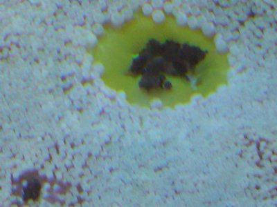 2011-02-03 19.39.06.jpg