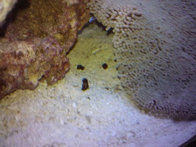 2011-02-03 19.39.51.jpg