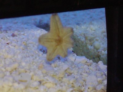 2011-02-02 16.14.15.jpg