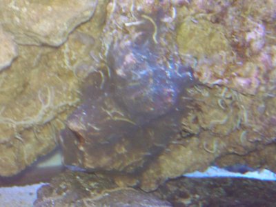 2011-02-02 16.12.01.jpg