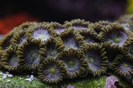 DSC_4624.jpg