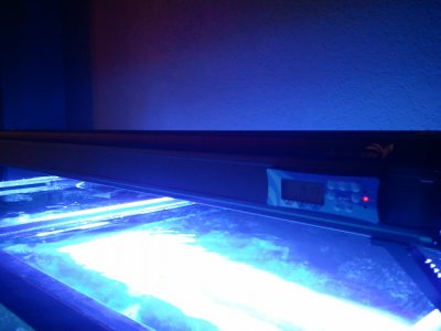 2011-02-03 19.13.33.jpg