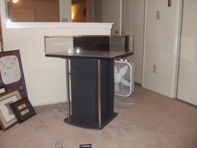 new tidepool pics 025.jpg