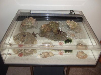 new tidepool pics 001.jpg