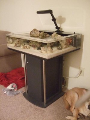 holding tanks 002.jpg