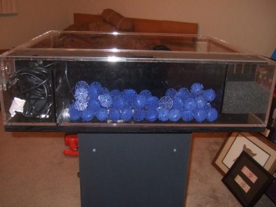 new tidepool pics 021.jpg