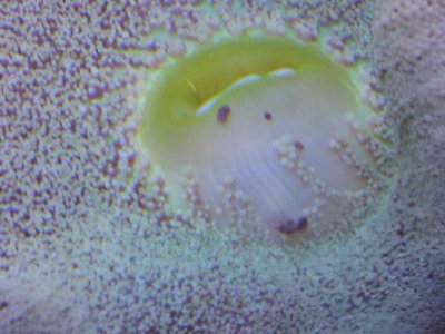 2011-02-05 09.03.12.jpg