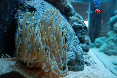 DSC_4848 (Medium).JPG