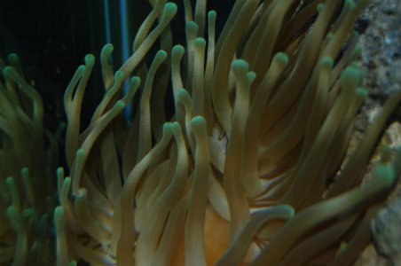 DSC_4847 (Medium).JPG