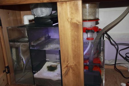 sump2_1.jpg