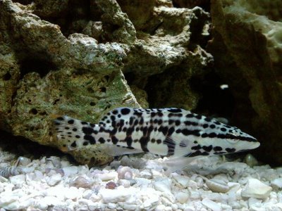 2011-02-20 13.28.17.jpg