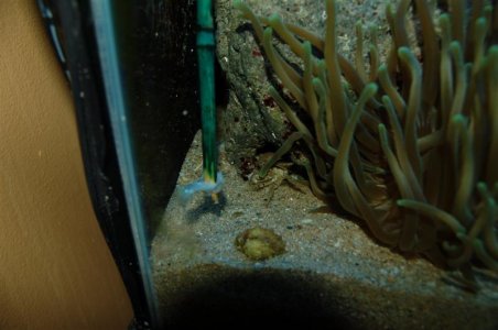 DSC_4912 (Medium).JPG