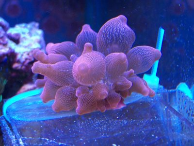 100_8182.jpg