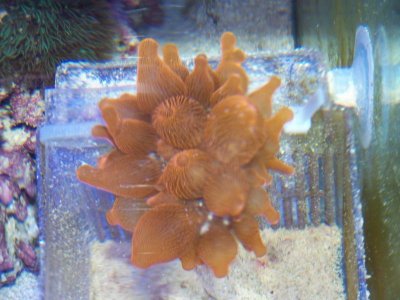 100_8185.jpg
