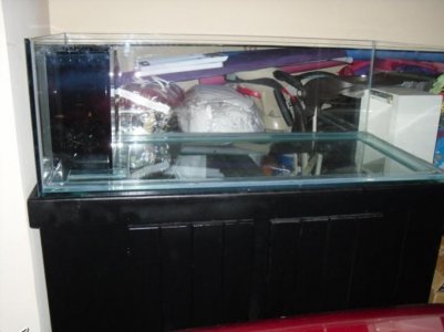 New Tank.jpg
